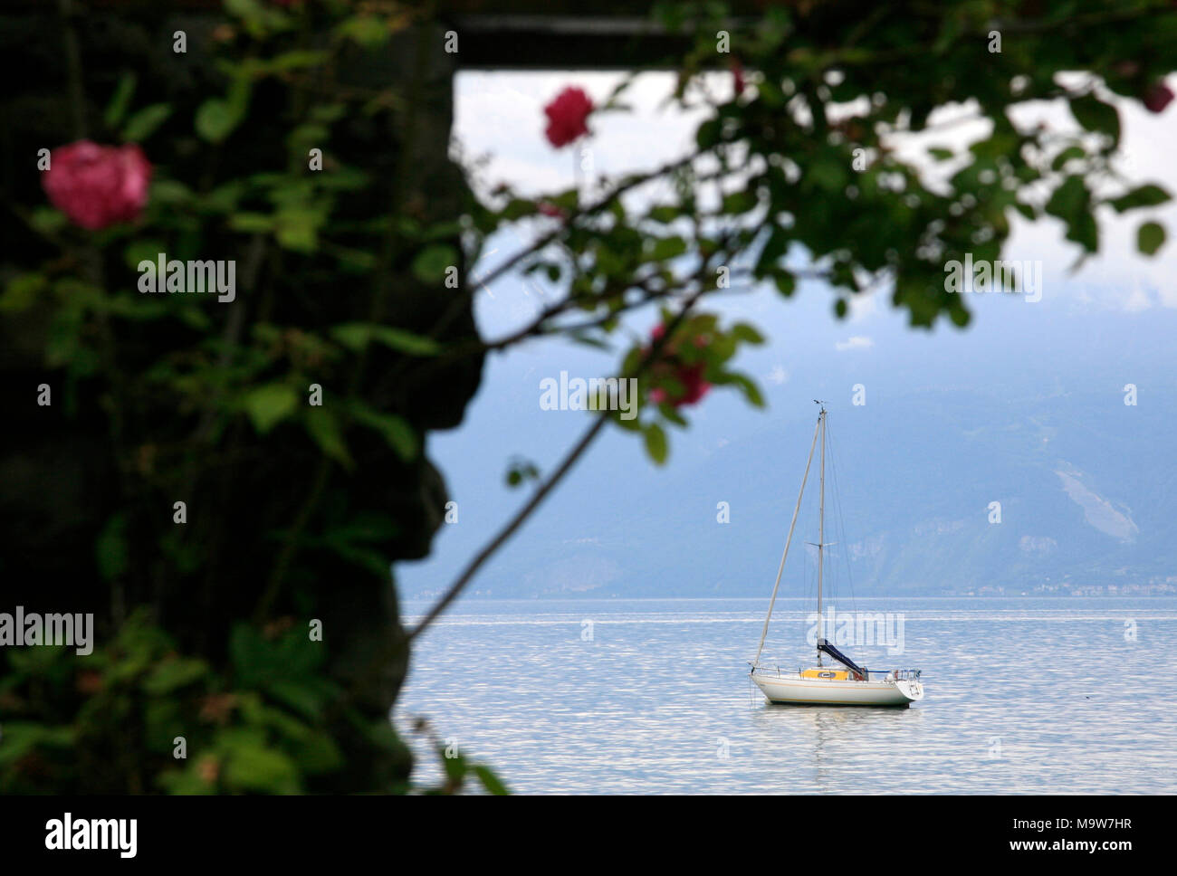Ein Segelboot ist am Genfer See in Lausanne, Switzlerland vertäut. Stockfoto