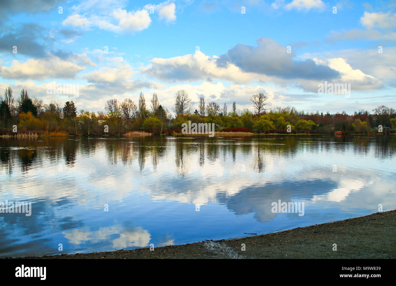 Ruhige und friedliche Landschaft von Trout Lake in Vancouver, Kanada Stockfoto