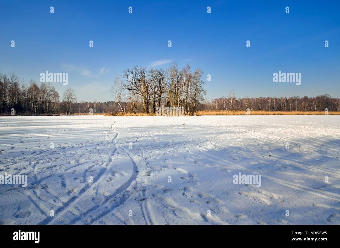 Winter Living Landscape. Bäume auf der Insel auf einem zugefrorenen See. Stockfoto