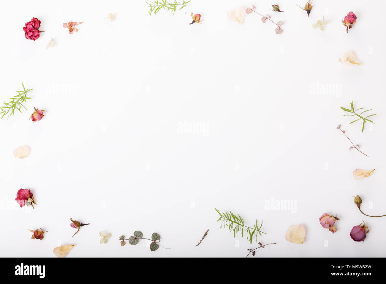 Blumen Komposition. Rahmen aus getrockneten rose Blumen auf weißem Hintergrund. Flach, Ansicht von oben, kopieren Raum Stockfoto