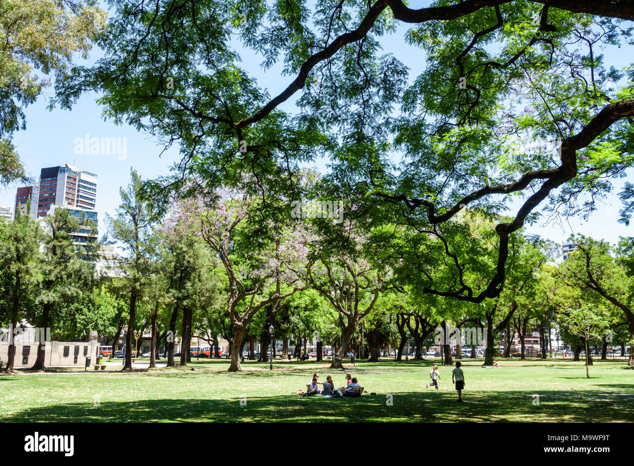 Buenos Aires Argentinien, Palermo, Plaza Alemania, Park, Grünfläche, Bäume, Rasen, Skyline, junge Jungen, männliche Kinder Kinder Kinder Jugendliche, Familien Familien Stockfoto