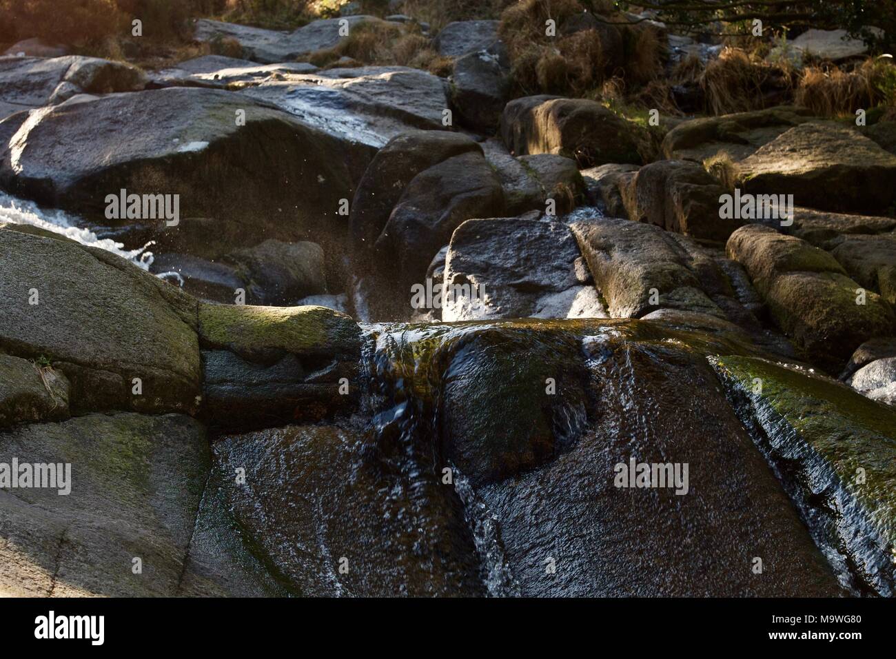 Ein Fluss in den Bergen in einem Wald. Stockfoto