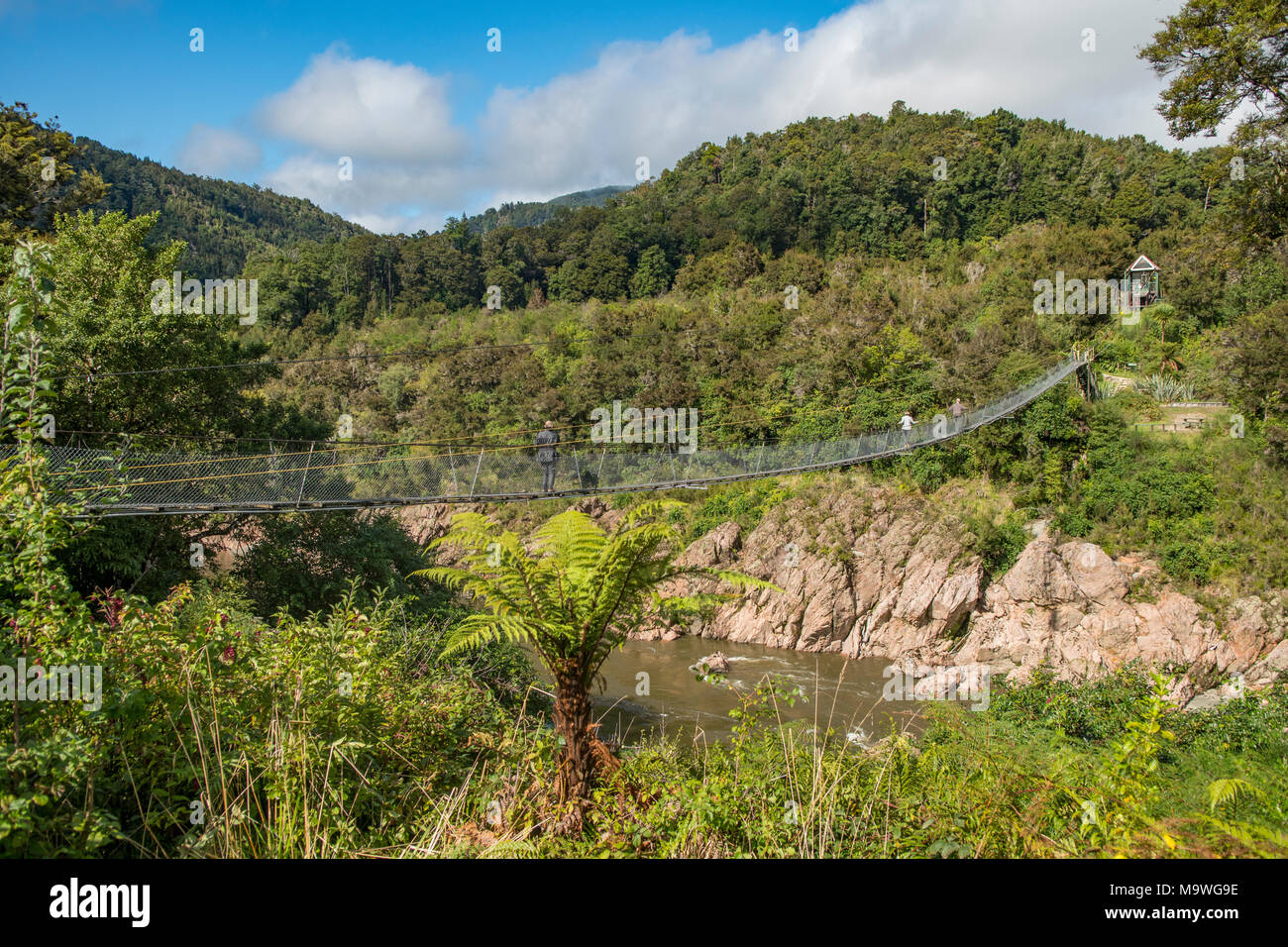 Uber Obere Buller Gorge Swingbridge Sudinsel Neuseeland