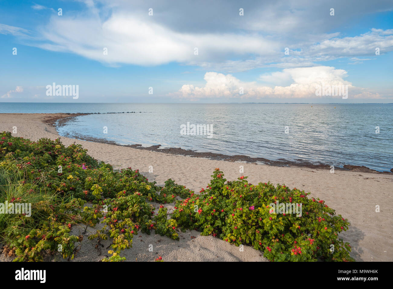 Strand, Heiligenhafen, Ostsee, Schleswig-Holstein, Deutschland, Europa Stockfoto