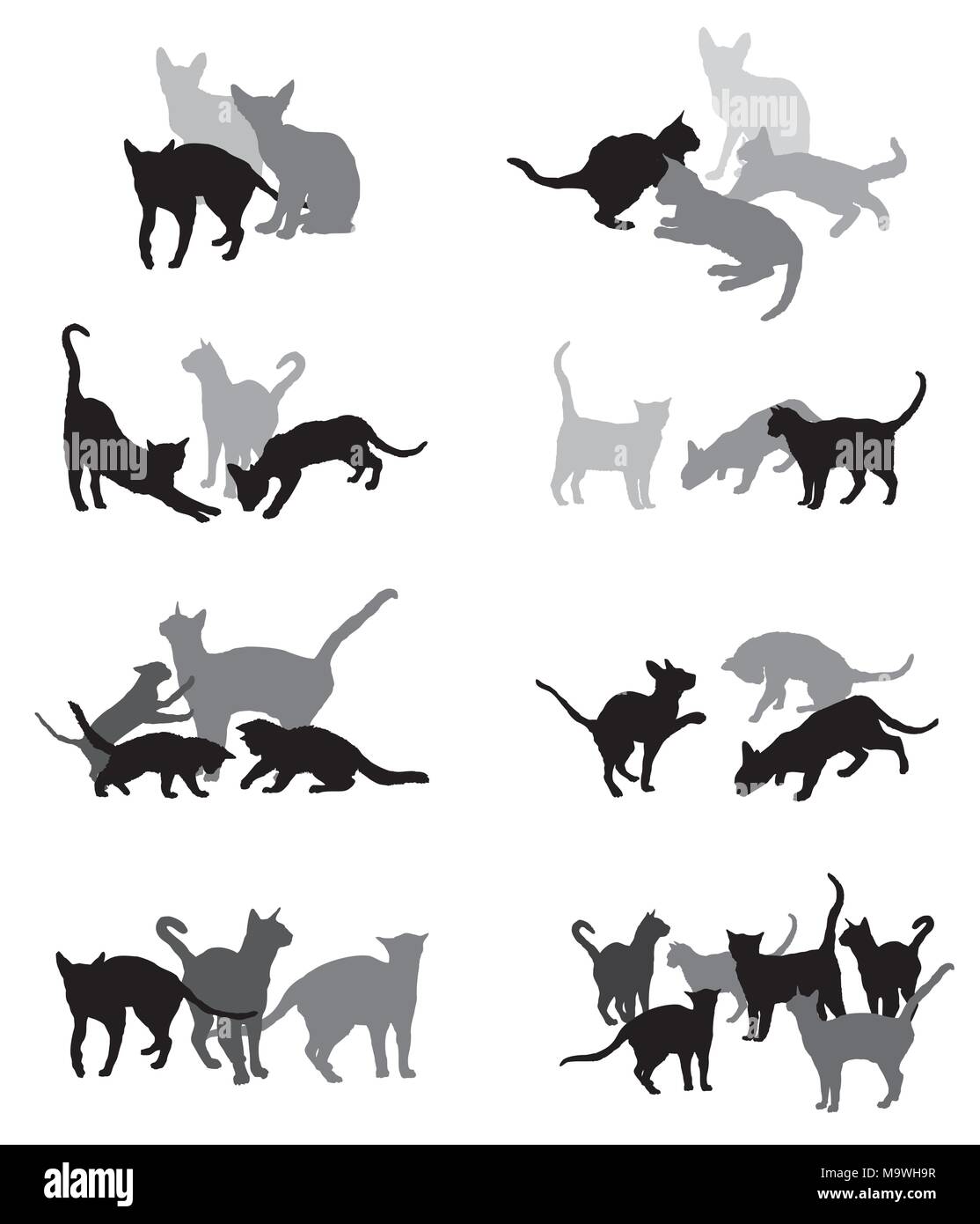 Set vektor Silhouetten Gruppe von verschiedenen Rassen Katzen Silhouetten (Sitzen, Stehen, Liegen, Spielen) in schwarzen und grauen Farben isoliert auf weißem Hinterg Stock Vektor