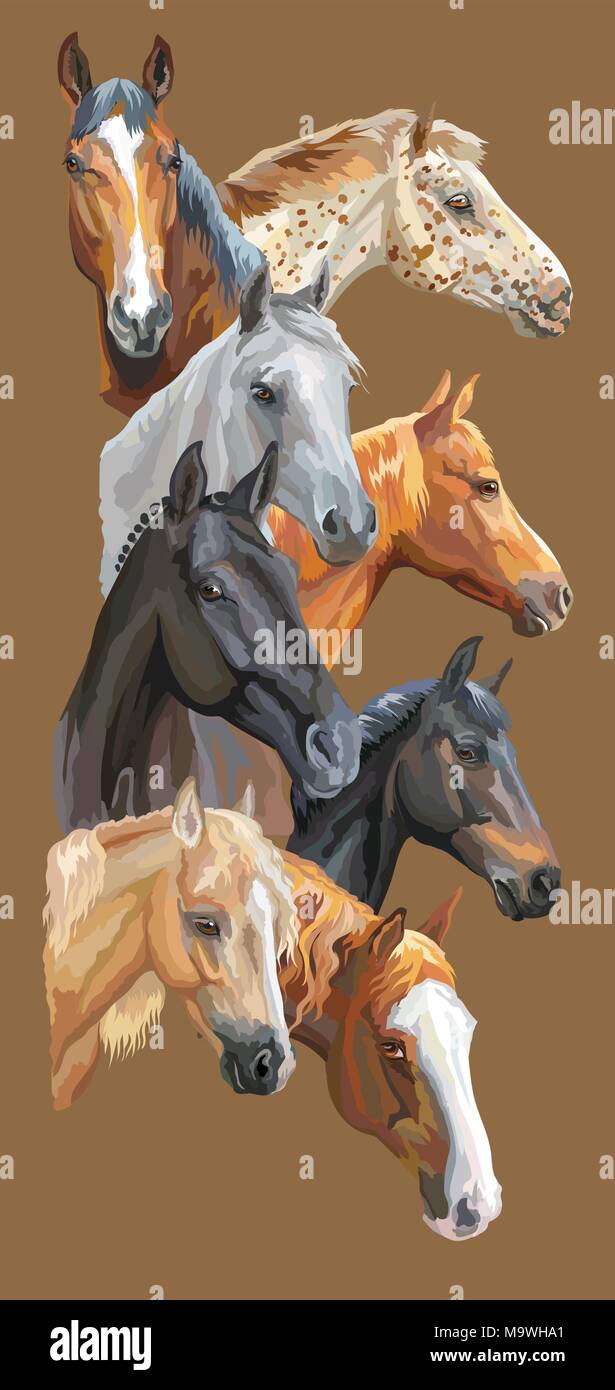 Vertikale Postkarte mit Porträts der Pferde Rassen (Trakehner, Welsh Pony, orlow Traber, Arabian Horse, Appaloosa Horse) isoliert auf Braun hinterg Stock Vektor