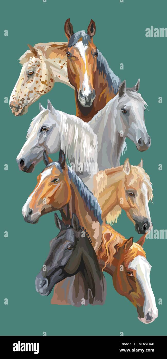 Vertikale Postkarte mit Porträts der Pferde Rassen (Trakehner, Welsh Pony, orlow Traber, Arabian Horse, Appaloosa Horse) isoliert auf Grün hinterg Stock Vektor