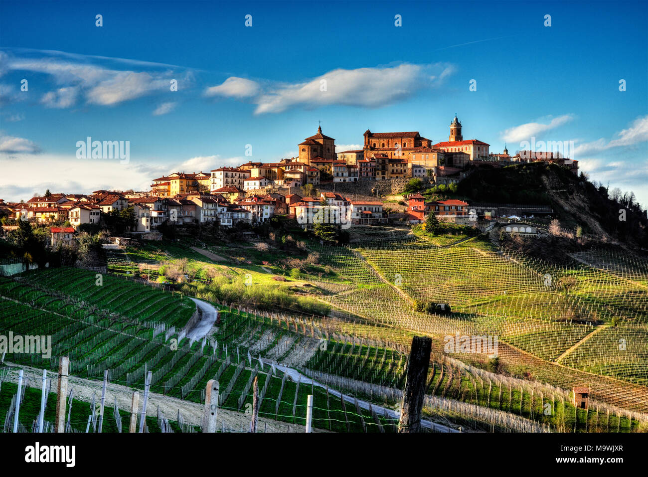 La Morra (Unesco-H.), in den Langhe. Die Gemeinde mit der größten Erweiterung der Weinberge mit Nebbiolo Trauben für Barolo kultiviert. Stockfoto