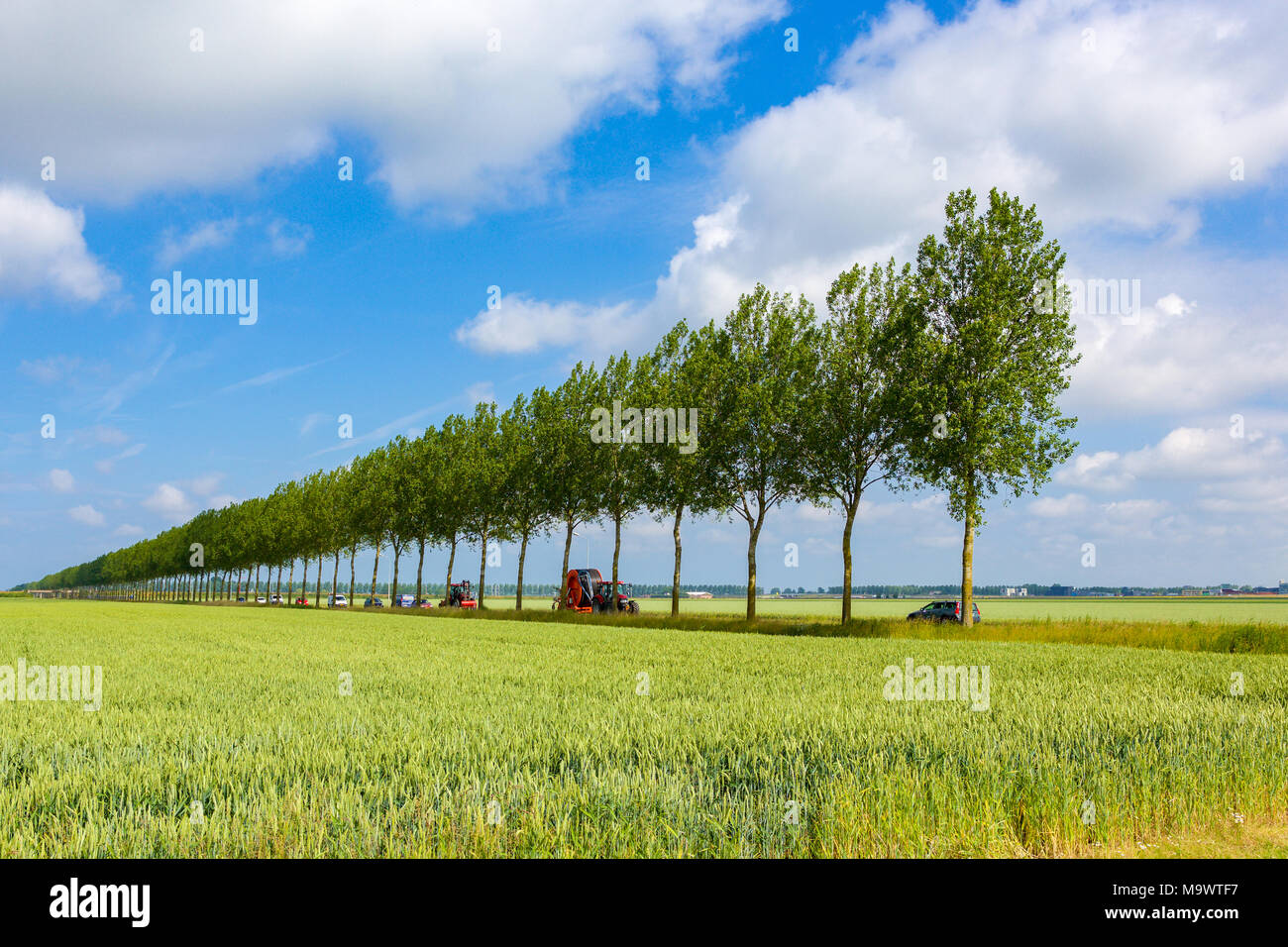 Ein Traktor fahren entlang einer geraden Linie mit Bäumen in der Nähe des Niederländischen Dorf Nieuw Vennep. Stockfoto
