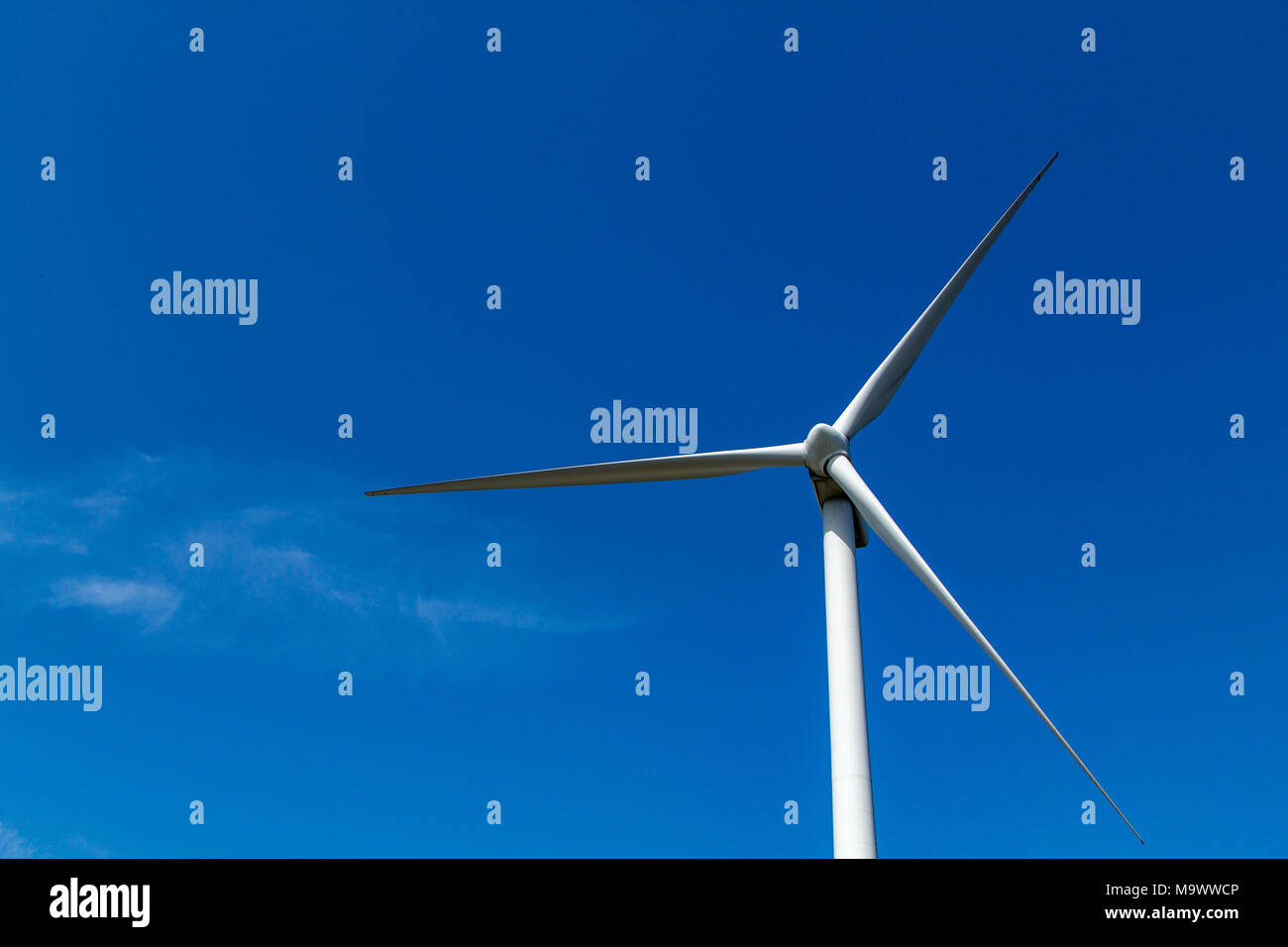 Eine große Windmühle in einem blauen Himmel für die Erzeugung von umweltfreundlichem Strom. Stockfoto