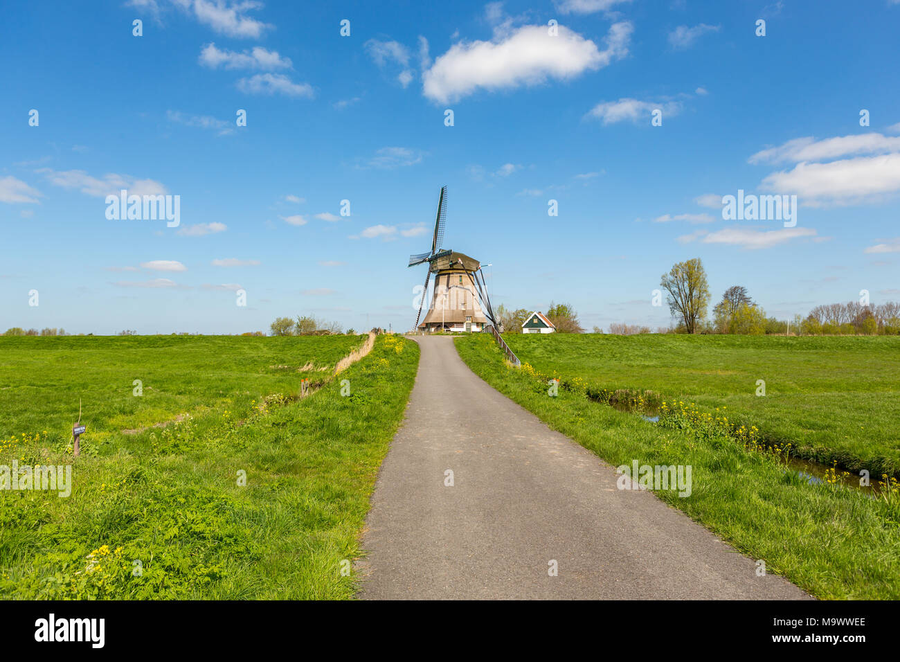 Eine historische Windmühle in den grünen Feldern und einem blauen bewölkten Himmel der Nieuwe Wetering in den Niederlanden. Stockfoto