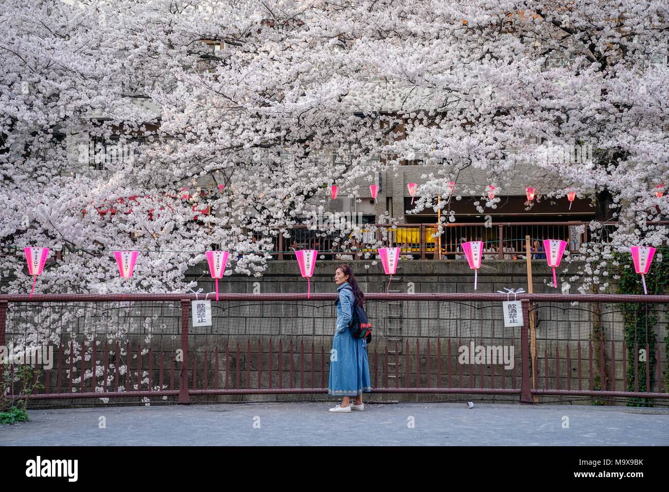 Tokio, Japan. 28. März, 2018. Eine Frau gesehen, die an beliebten anzeigen Lage für Kirschblüte in Tokio. Kirschblüten sind voller Blüte in Tokio erreicht und in der Regel nur eine Woche vor den Blüten anfangen, von den Bäumen zu fallen. Quelle: LBA/Alamy leben Nachrichten Stockfoto