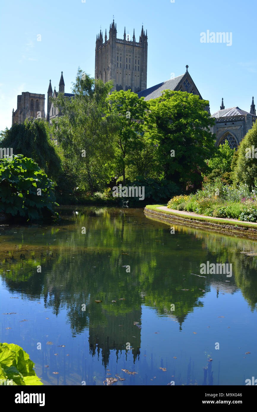 Sommer in der Bischofspalast Gärten, mit Blick auf die Kathedrale von Wells, Wells, Großbritannien Stockfoto