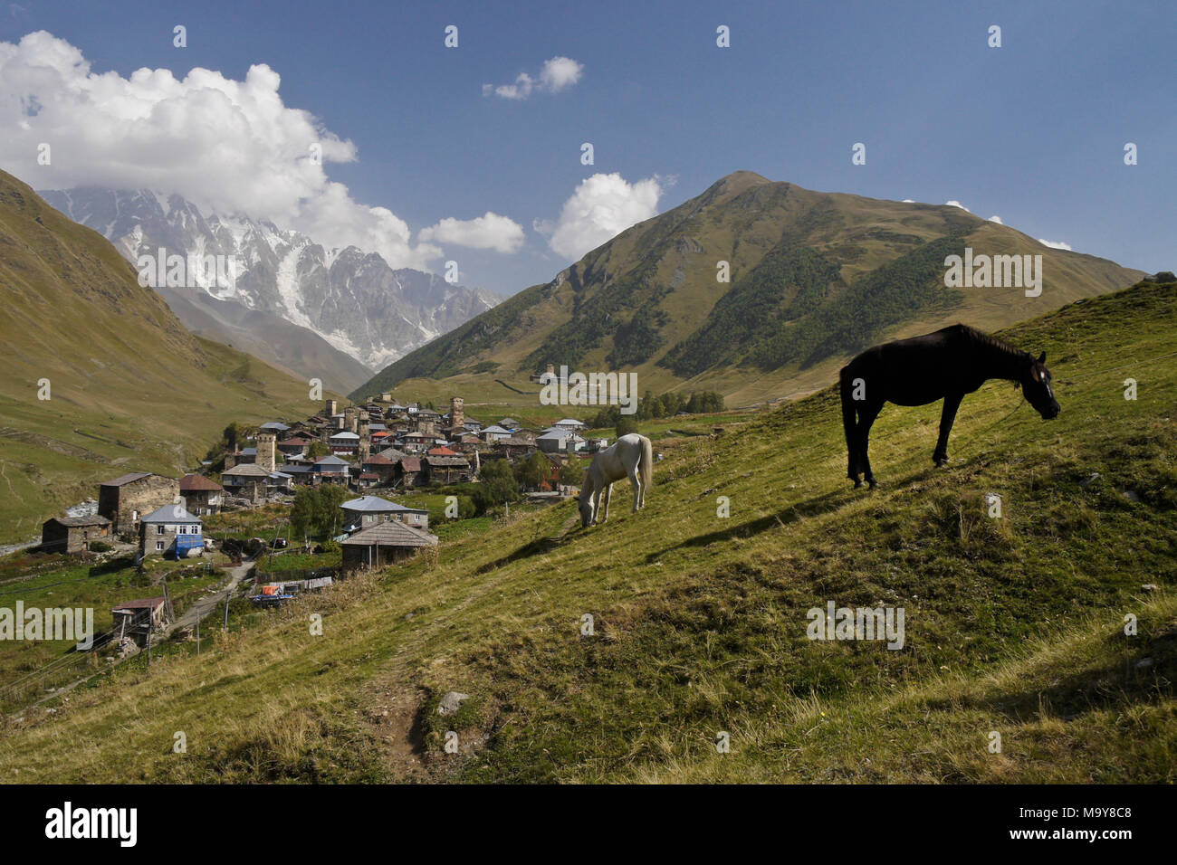 Pferde grasen auf einem Hügel oberhalb eines kleinen Dorfes in Harderwijk, obere Swanetien, Georgien Stockfoto