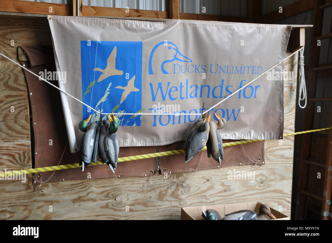 Ducks Unlimited Banner. Stockfoto