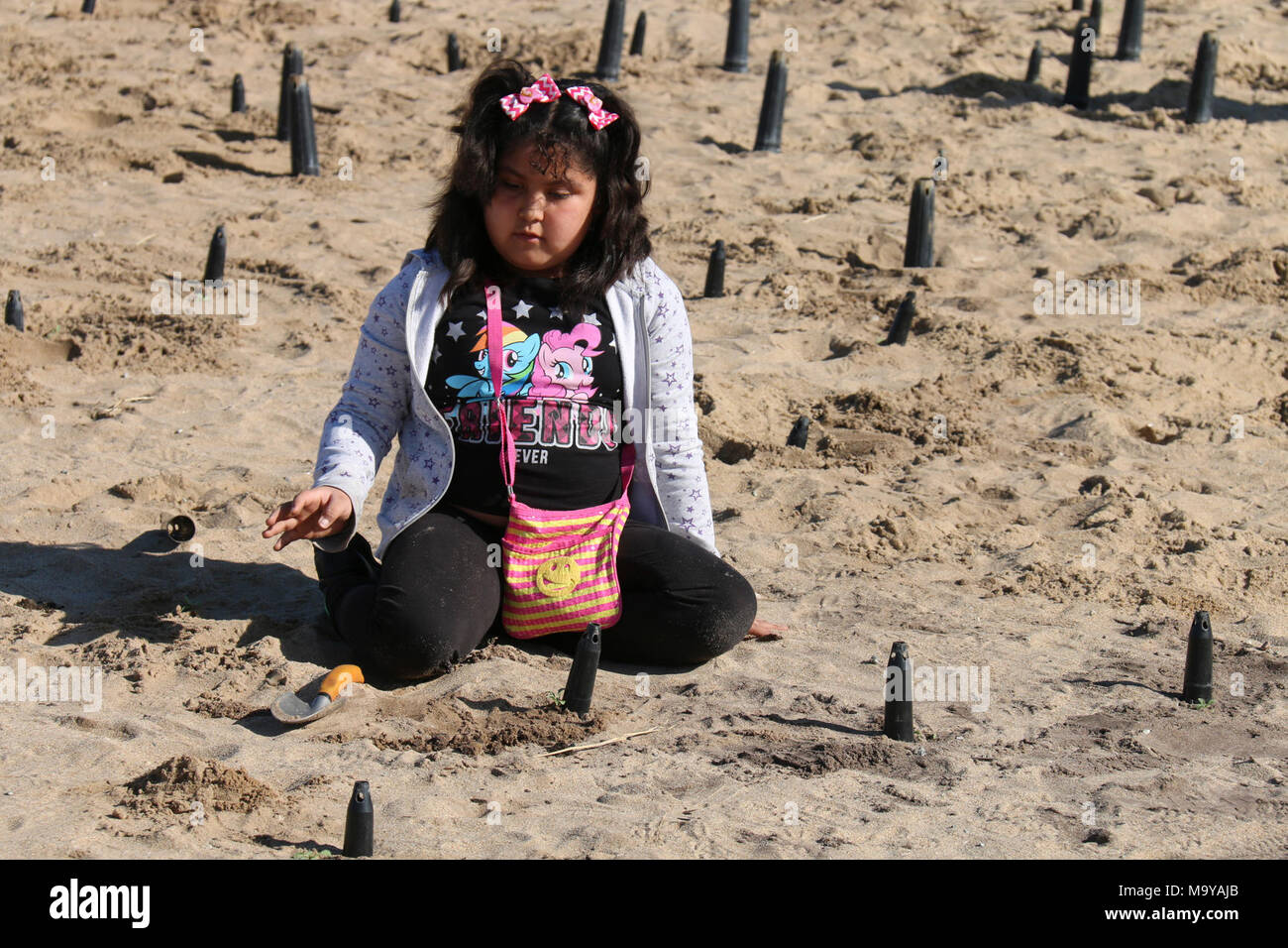 Mairenee einpflanzen. Santa Rita Elementary student Mairenee auf ihrem ersten Ausflug, die Anpflanzung von einheimischen Coastal dune Pflanzen in Monterey State Beach. Stockfoto