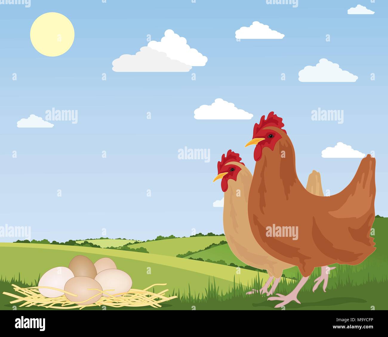 eine Illustration von zwei freilaufenden Hühnern mit neu gelegten Eiern auf Stroh und malerische Landschaft unter einem blauen Sommerhimmel Stock Vektor