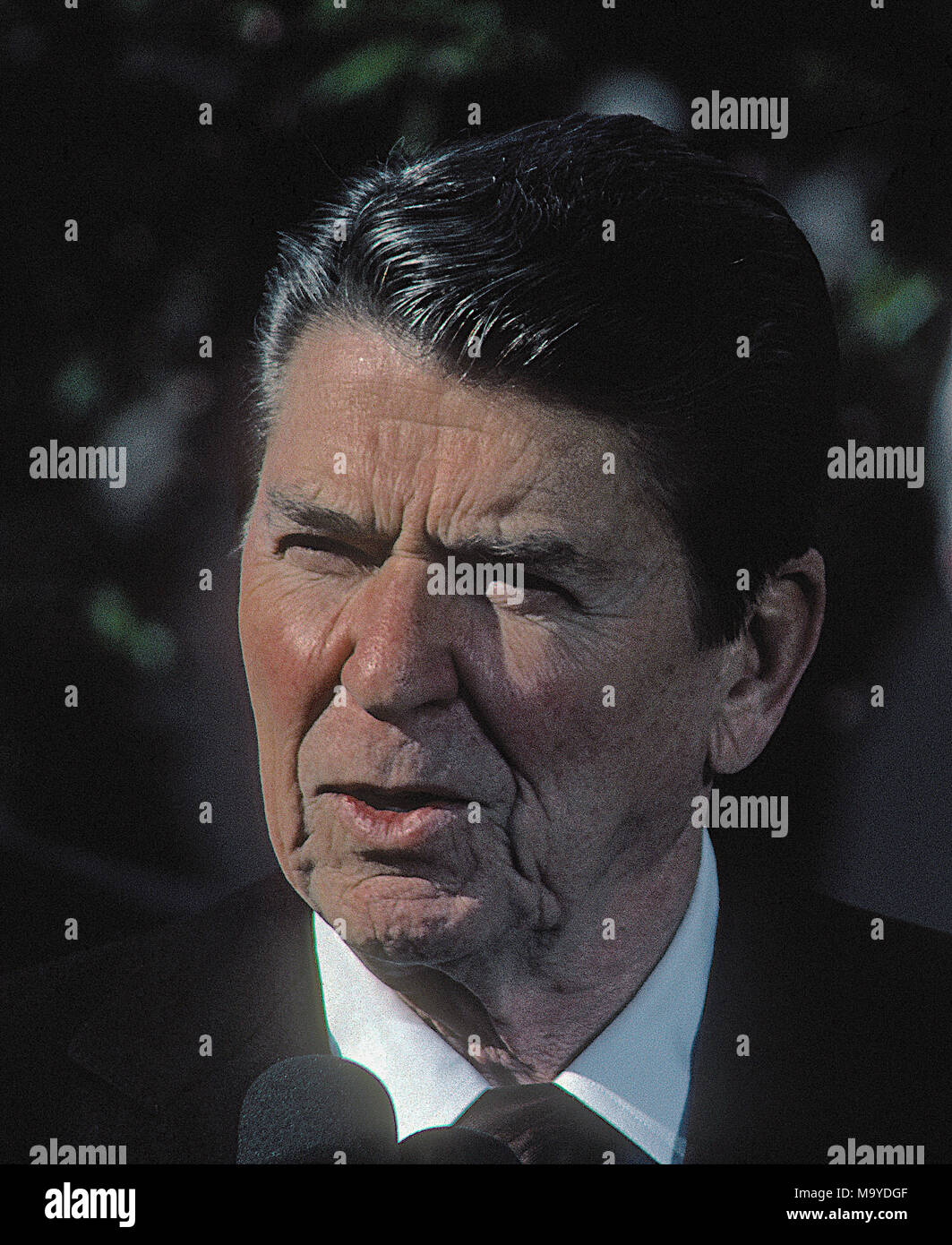 Washington, DC., USA, April 1984 US-Präsident Ronald Reagan liefert Erläuterungen im Rosengarten des Weißen Hauses Credit: Mark Reinstein/MediaPunch Stockfoto