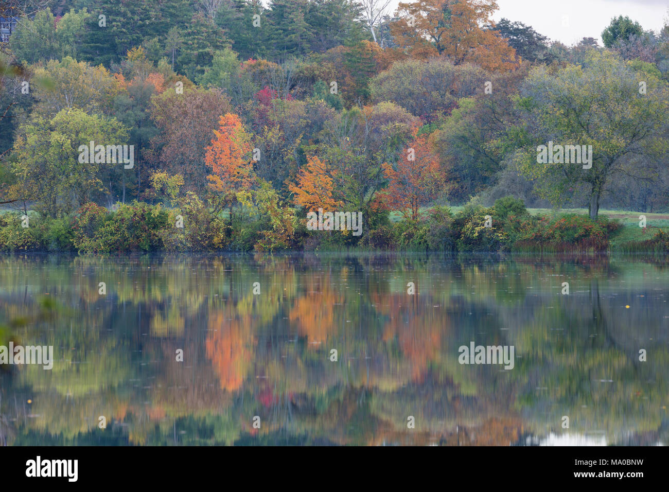 Herbst Laub in den Connecticut River, North Thetford, Vermont reflektiert Stockfoto