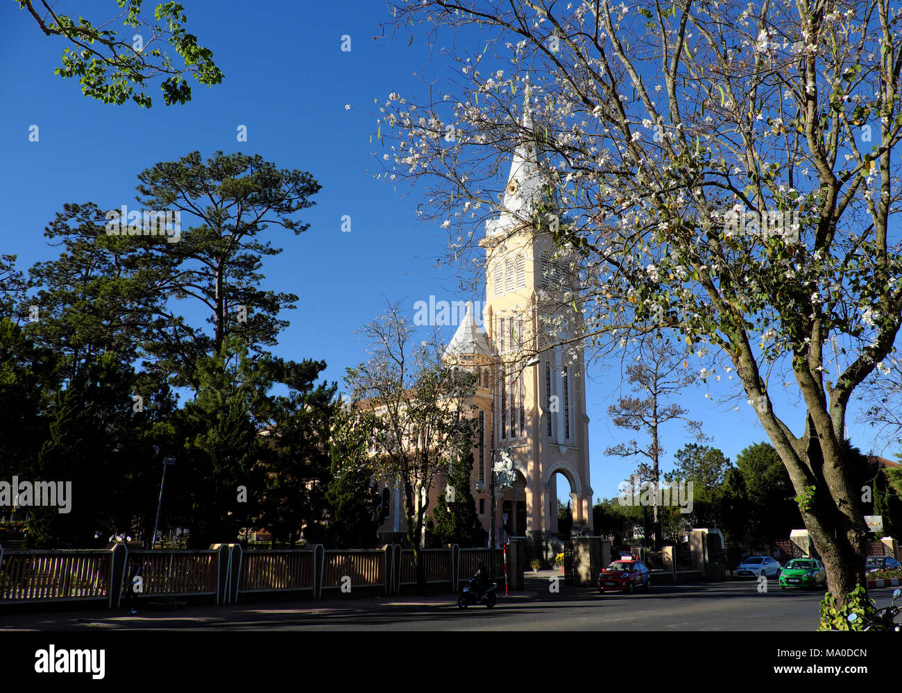 Dalat Kathedrale, eine alte architektonische Werke, im klassischen französischen Stil, Huhn Kirche Dalat mit Statue von Hahn an der Spitze Glockenturm Stockfoto