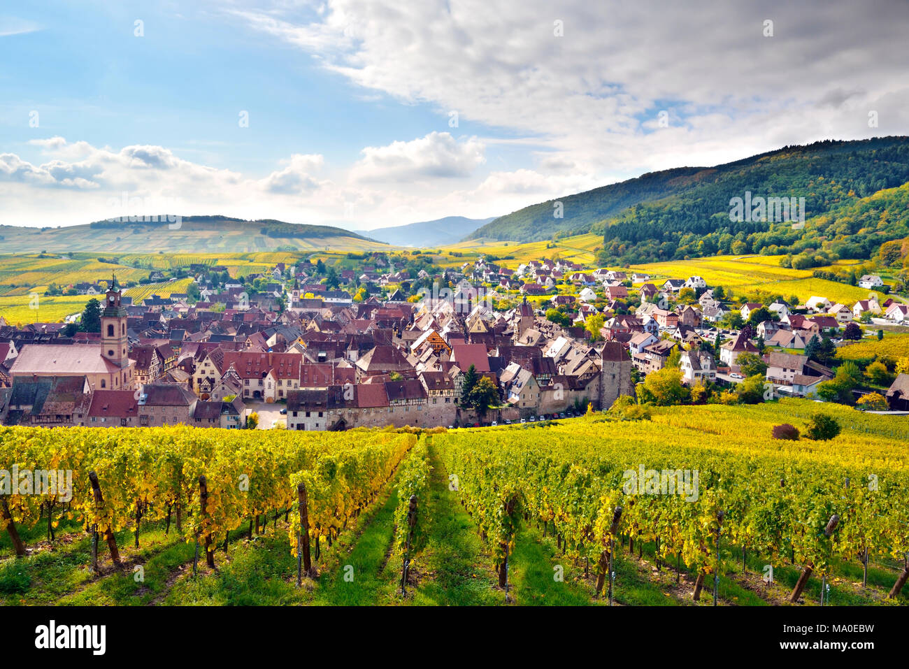 Einen erhöhten Blick auf die Wein erzeugenden Stadt, Riquewihr im Elsass in Frankreich. Stockfoto