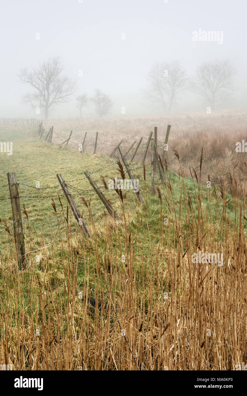 Einen alten Zaun mit Beiträge nur durch den Stacheldraht, der zwischen Ihnen erstreckt sich gehalten, am Rande eines Feldes mit einem kleinen Bach läuft neben unseen Stockfoto