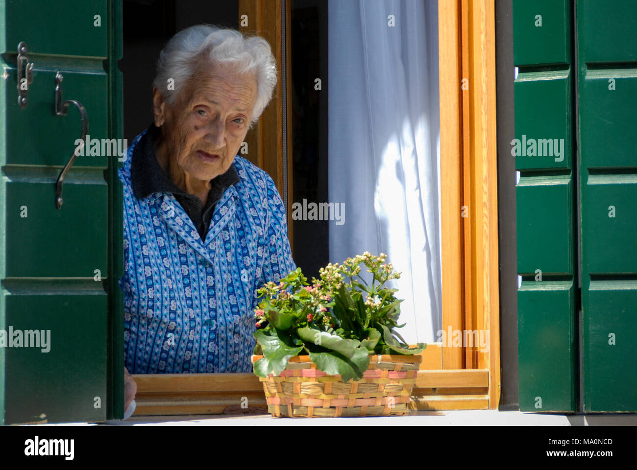 Venedig, Italien - 18 April 2009: Unbekannter gerne ältere Frau aus dem Fenster ihres Hauses suchen Stockfoto