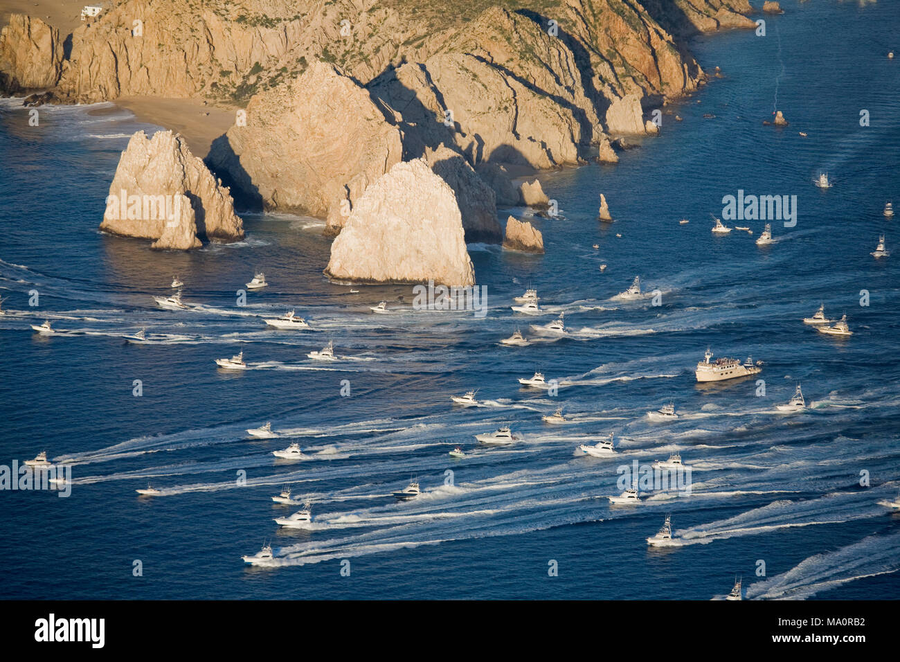 Cabo San Lucas angeln Turnier Stockfoto