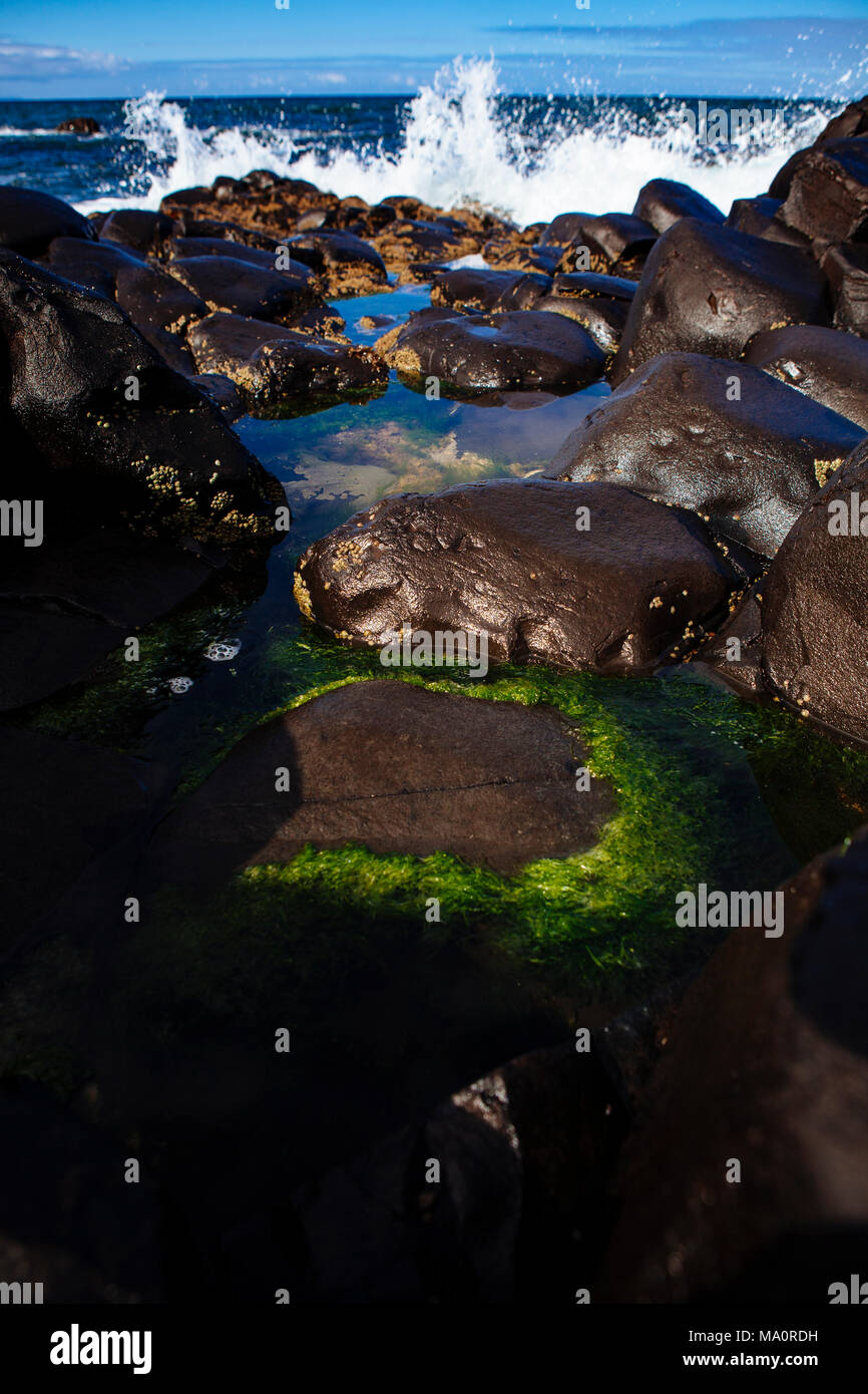 Giants Causeway, Nordirland, Vereinigtes Königreich Stockfoto