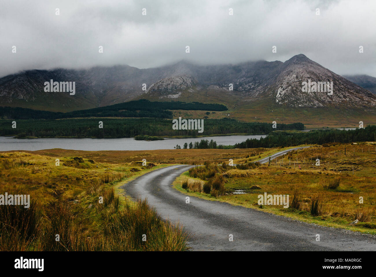 Fjorde in Carna, Connemara, Galway, Irland Stockfoto