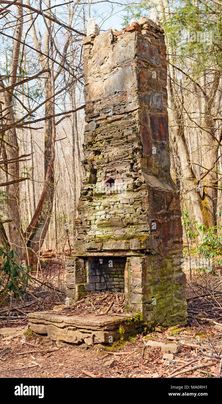 Ruinen einer alten Schornstein in einer CCC-Camp in den Smokey Mountains Stockfoto
