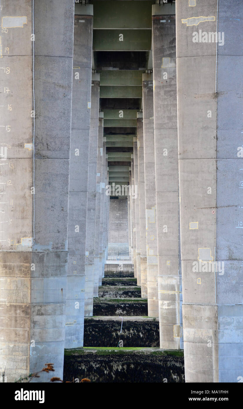 Konkrete Spalten von der Unterseite der Tay Road Bridge Stockfoto