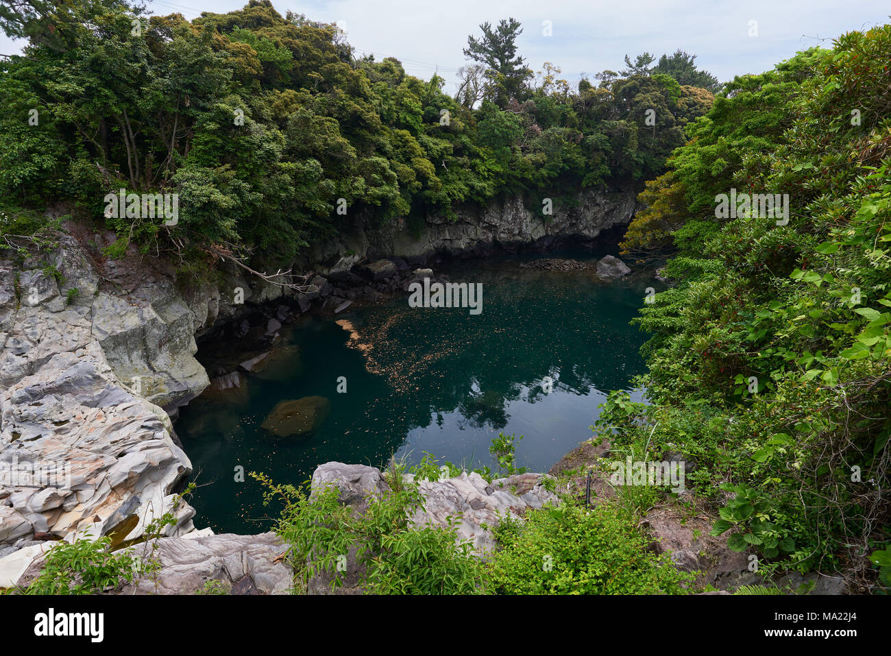 Soesokkak Mündung in Seogwipo-si. Es ist eine Attraktion ist berühmt für seine schönen Gelände von Stream und Meerwasser Erosion in Felsen der Lavastrom gebildet Stockfoto