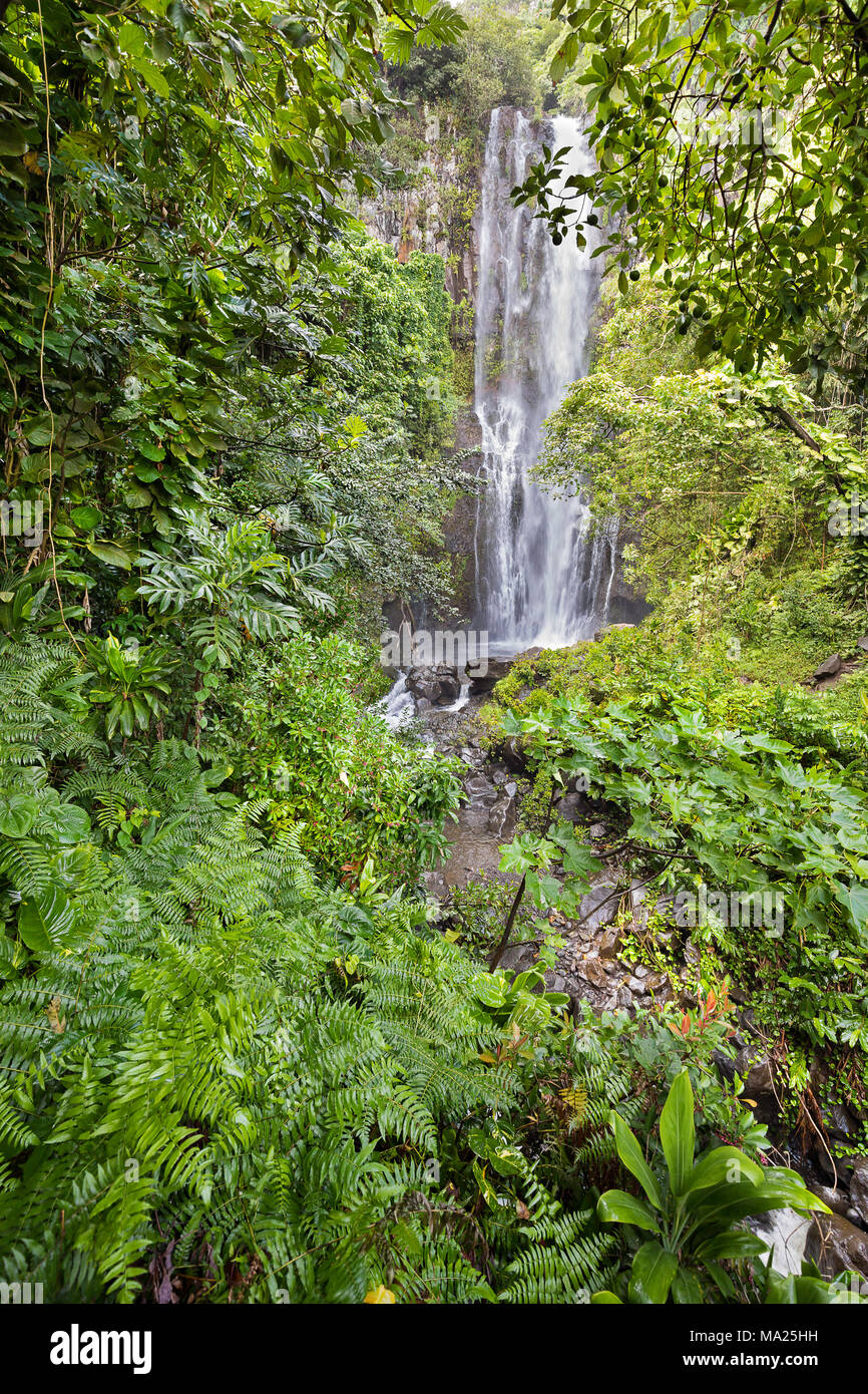 Wailua Wasserfall, in der Nähe von Hana, Maui, Hawaii. Stockfoto