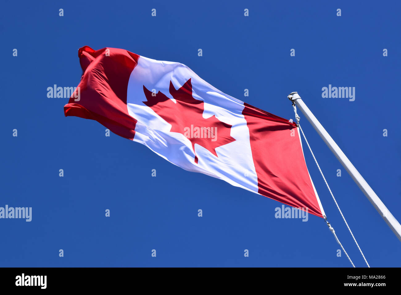 Kanadische Flagge Stockfoto