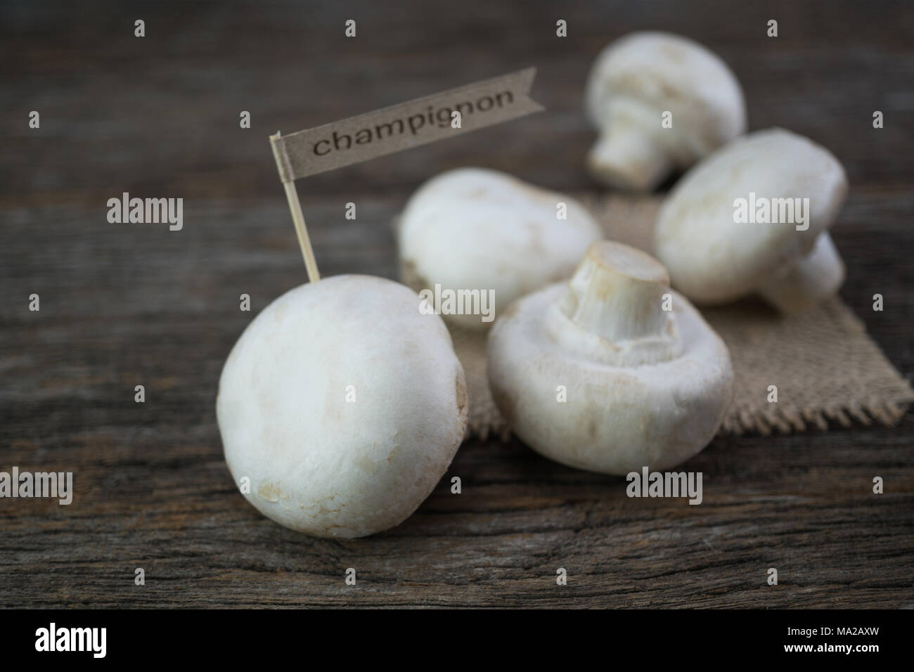 Frische organische champignon Pilze an Holz Hintergrund Stockfoto