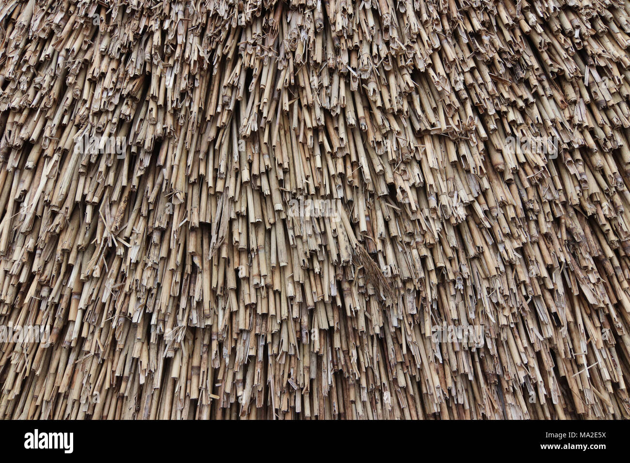 Textur der Reed Dach - Detail Stockfoto