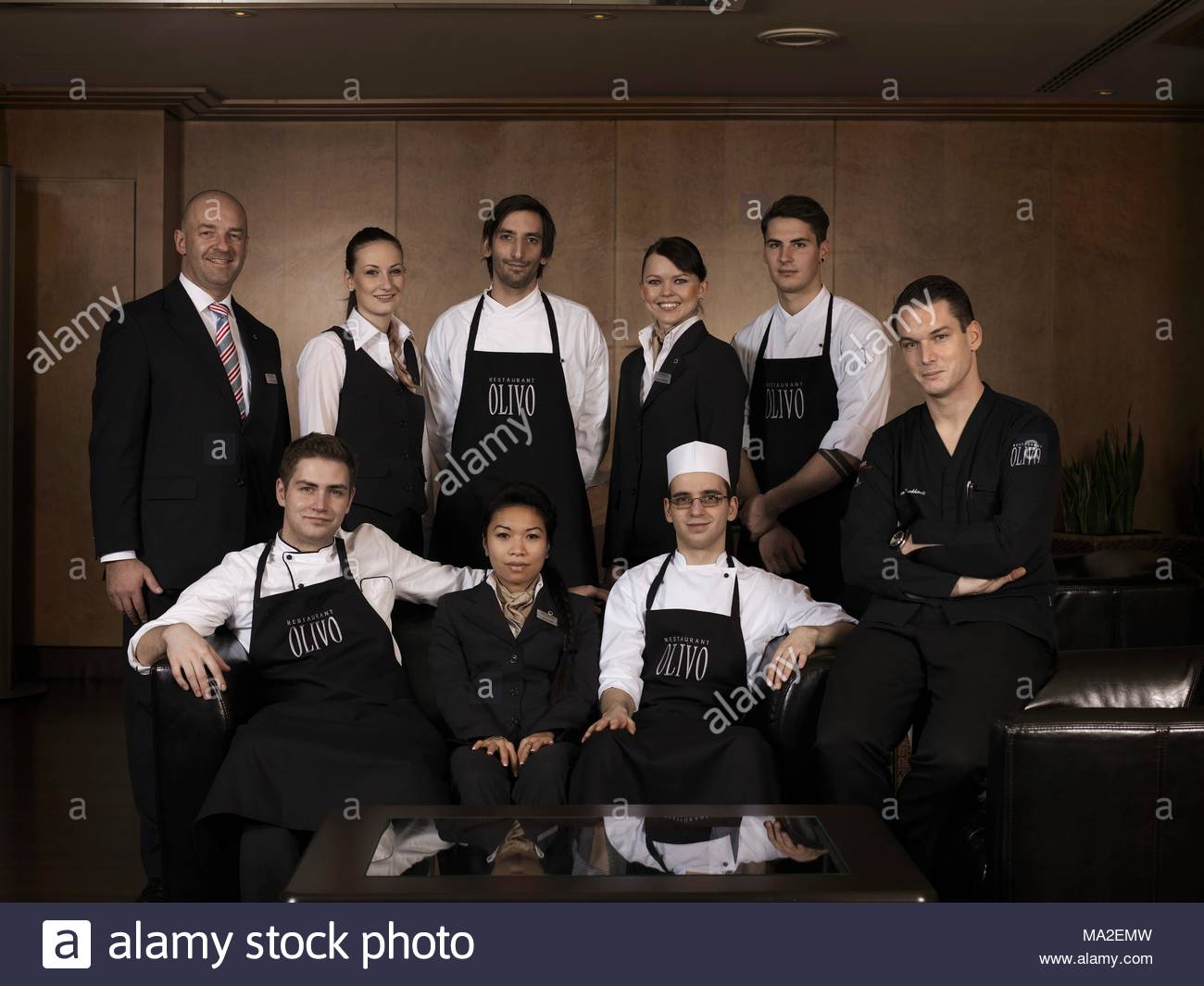 Swann security haken