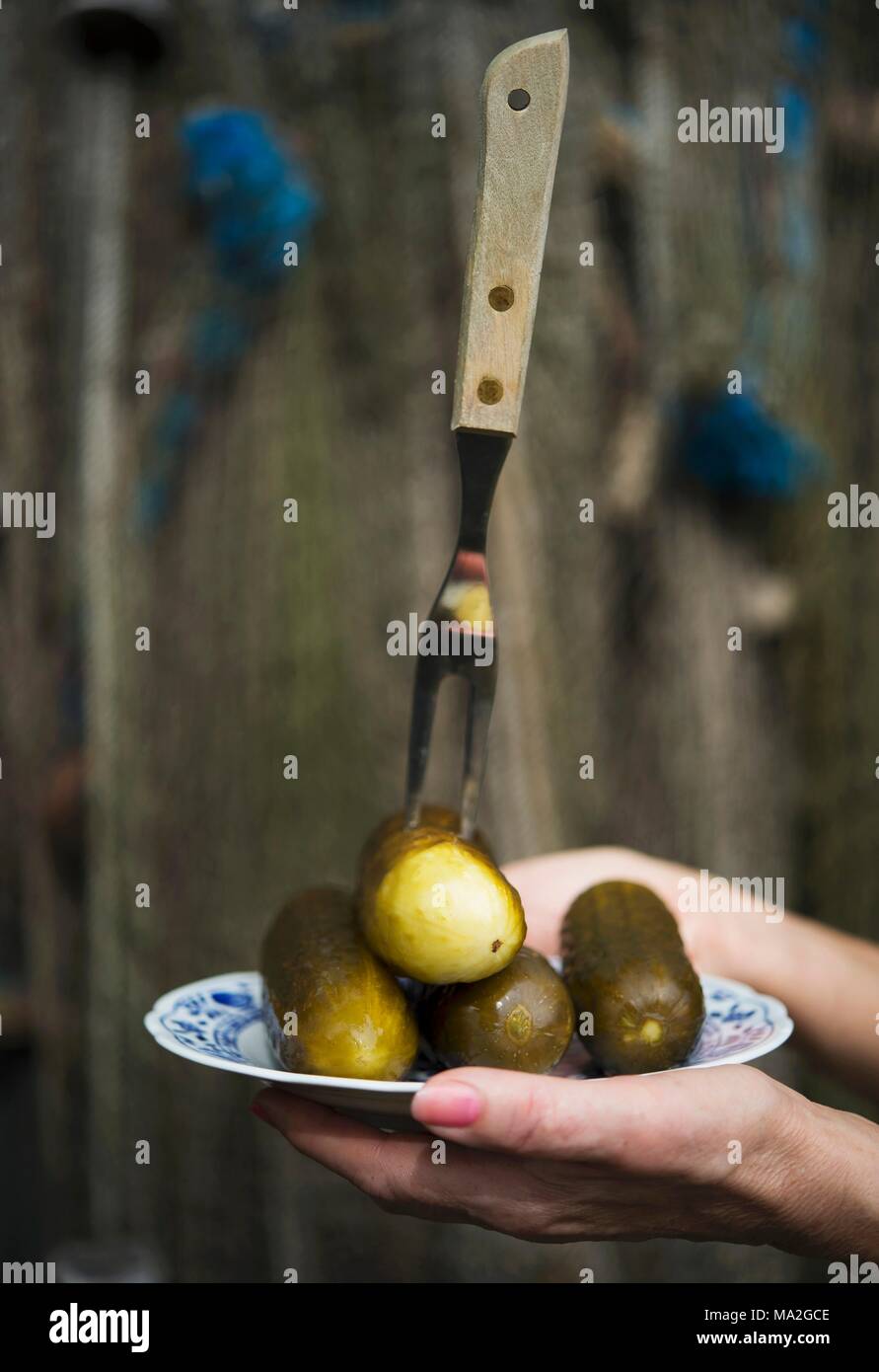 Spreewälder Gurken auf einer Platte Stockfoto