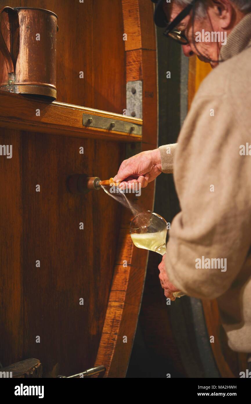 Der Winzer Louis-Philippe Bovard Prüfung Wein am Genfer See, Schweiz Stockfoto