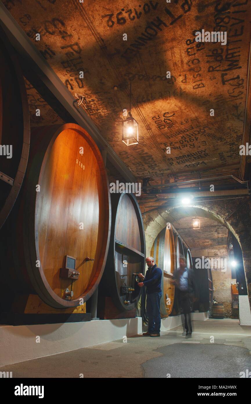 Fässer Wein in einem Weinkeller, Genfer See, Schweiz Stockfoto