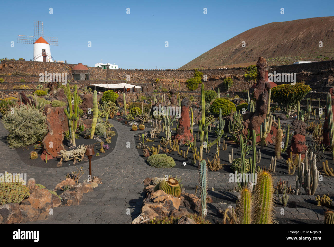Cesar manrique cactus garden Fotos und Bildmaterial in hoher