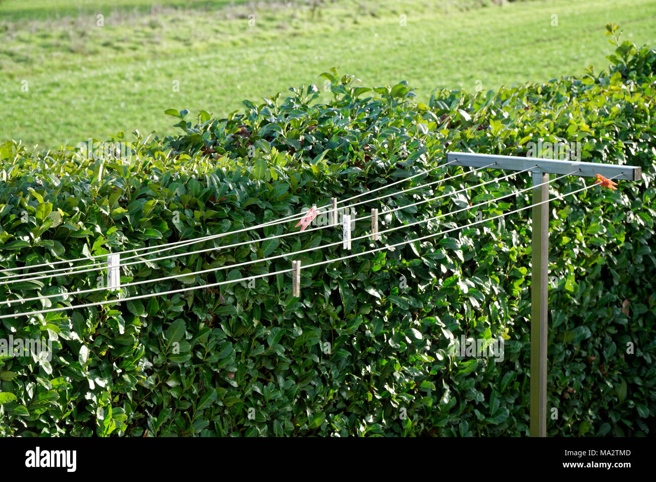 Wäscheleine mit Wäscheklammern im Garten in sonniger Tag, frische, saubere Hintergrund. Stockfoto