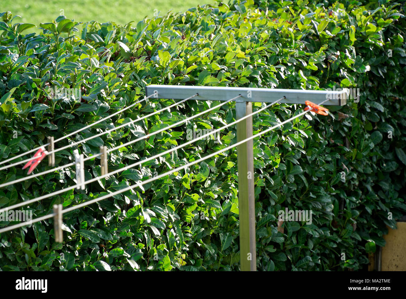 Wäscheleine mit Wäscheklammern im Garten in sonniger Tag, frische, saubere Hintergrund. Stockfoto