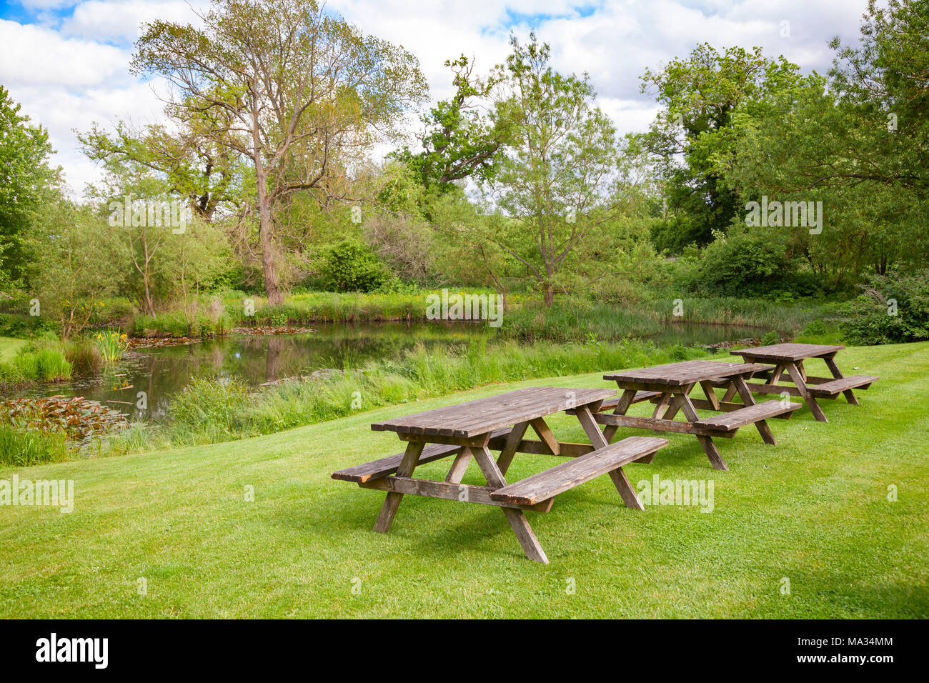 Reihe von verwittertem Holz- Picknick Tische mit Bänken auf einer Wiese in der Nähe von einem Pool im Sommer englischen Garten oder Park. Südengland, Großbritannien Stockfoto