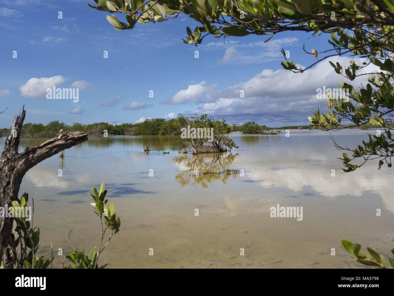 Die Zapata Nationalpark an der Südküste von Kuba bietet eine einzigartige Landschaft. (23. November 2017) | Verwendung weltweit Stockfoto