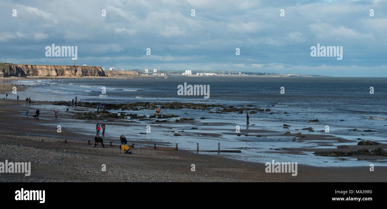 Blick auf den Strand von Seaham mit Sunderland im Hintergrund und eine Reihe von Leuten, die Meeresglas sammeln Stockfoto