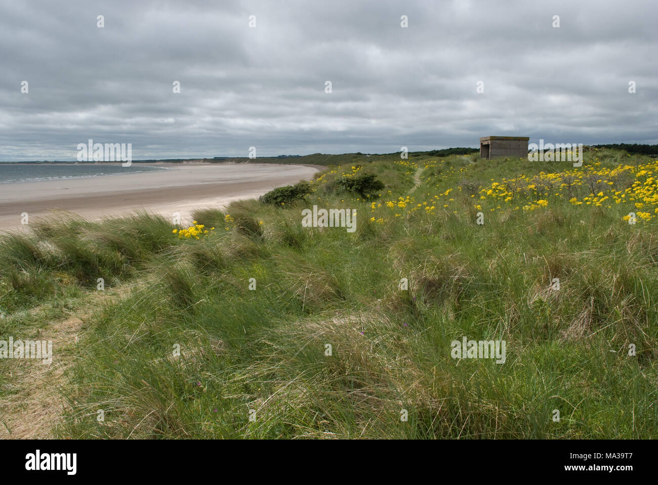 Druridge Bay an der Küste von Northumberland mit einer Betonkonstruktion aus dem zweiten Weltkrieg im Hintergrund Stockfoto