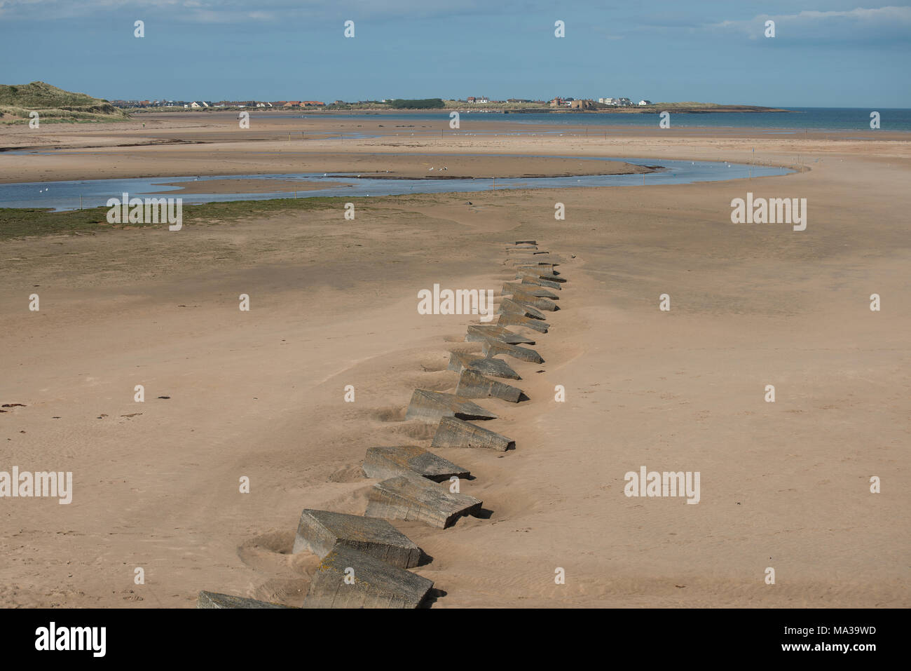 Eine Küstenszene mit Beadnel, Northumberland im Hintergrund und einer Reihe von Kriegsmarkantenfallen im Vordergrund, die ins Bild führen Stockfoto