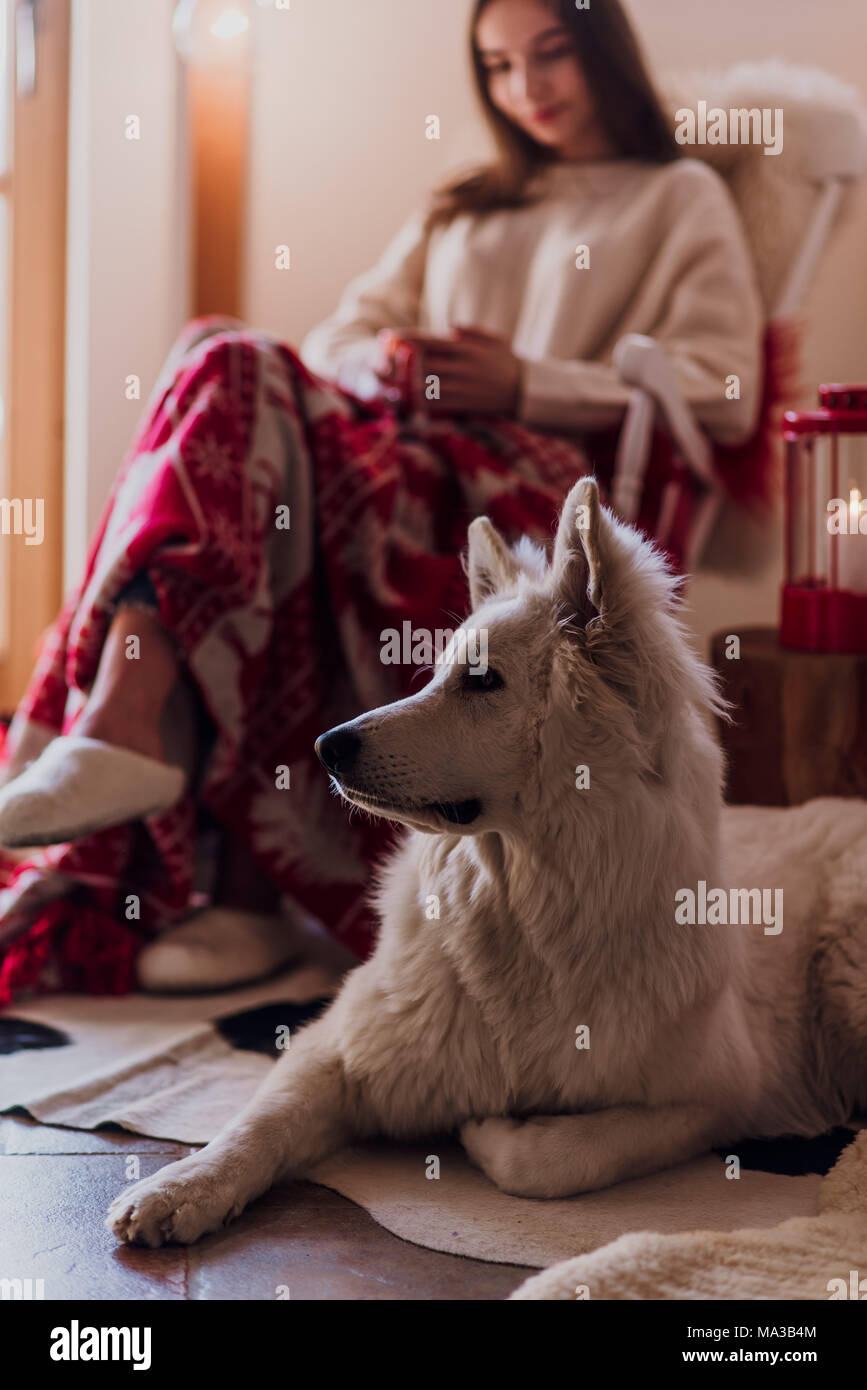 Junge Frau sitzend mit Teetasse in einem Schaukelstuhl, Schäferhund liegt neben Ihr Stockfoto